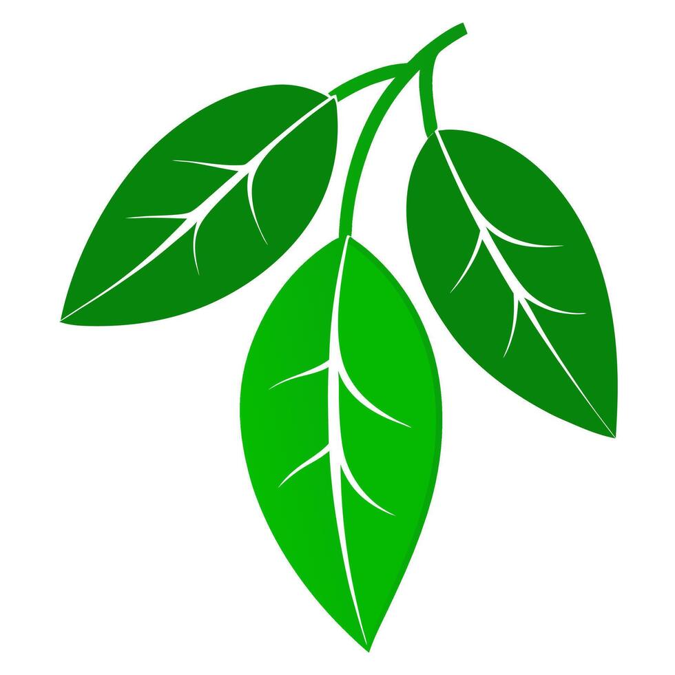 pieces of leaves on white background vector