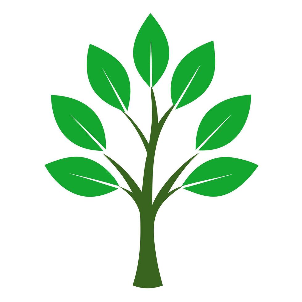 tree having green leaves on white background vector