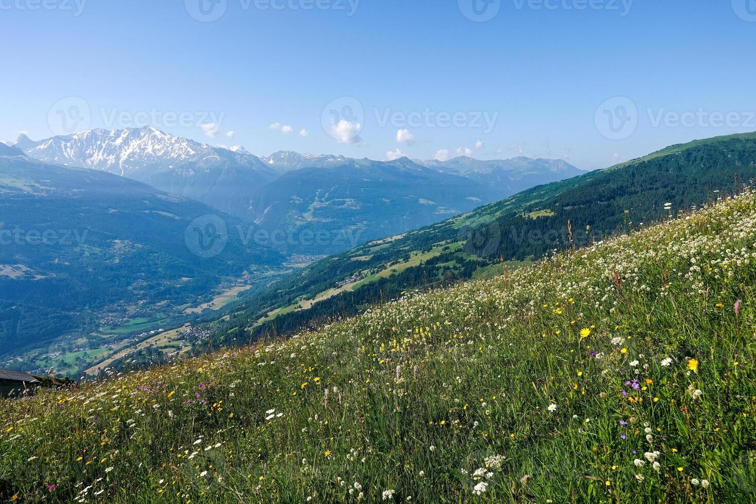 High altitude view of the mountain pastures and the Tarentaise valley in Bourg-Saint-Maurice in Savoie photo