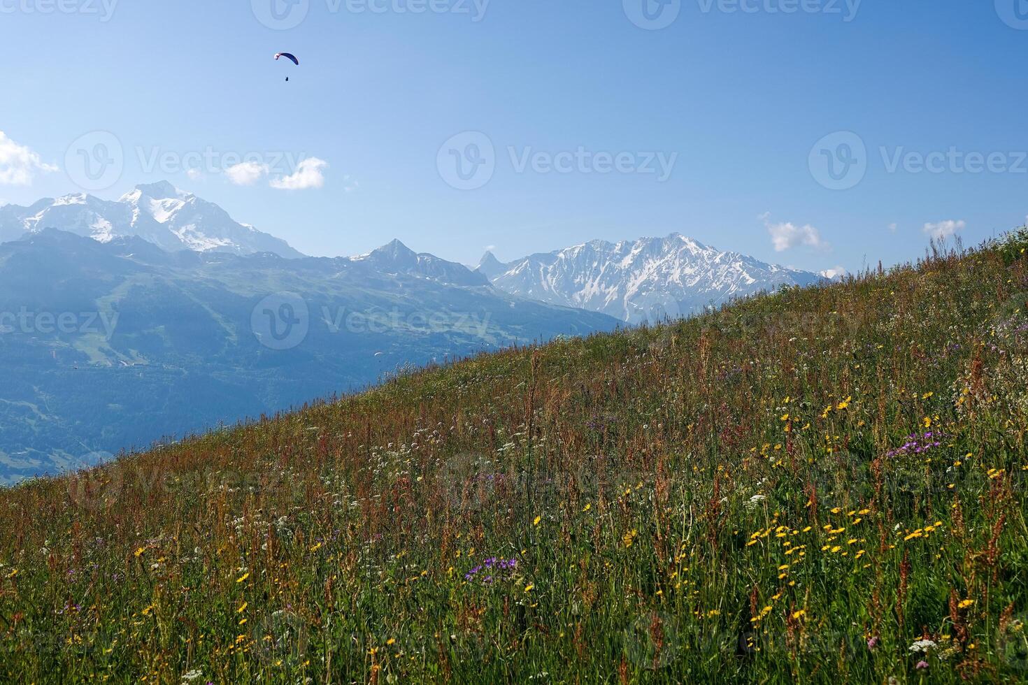 Flowery hill in the mountain pastures and mountain range in summer photo