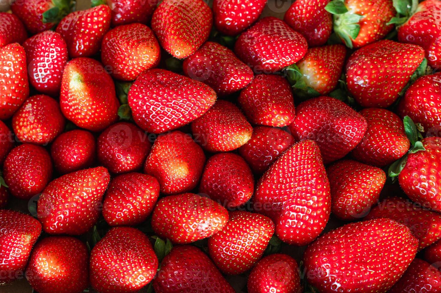 Fresh organic strawberries photo