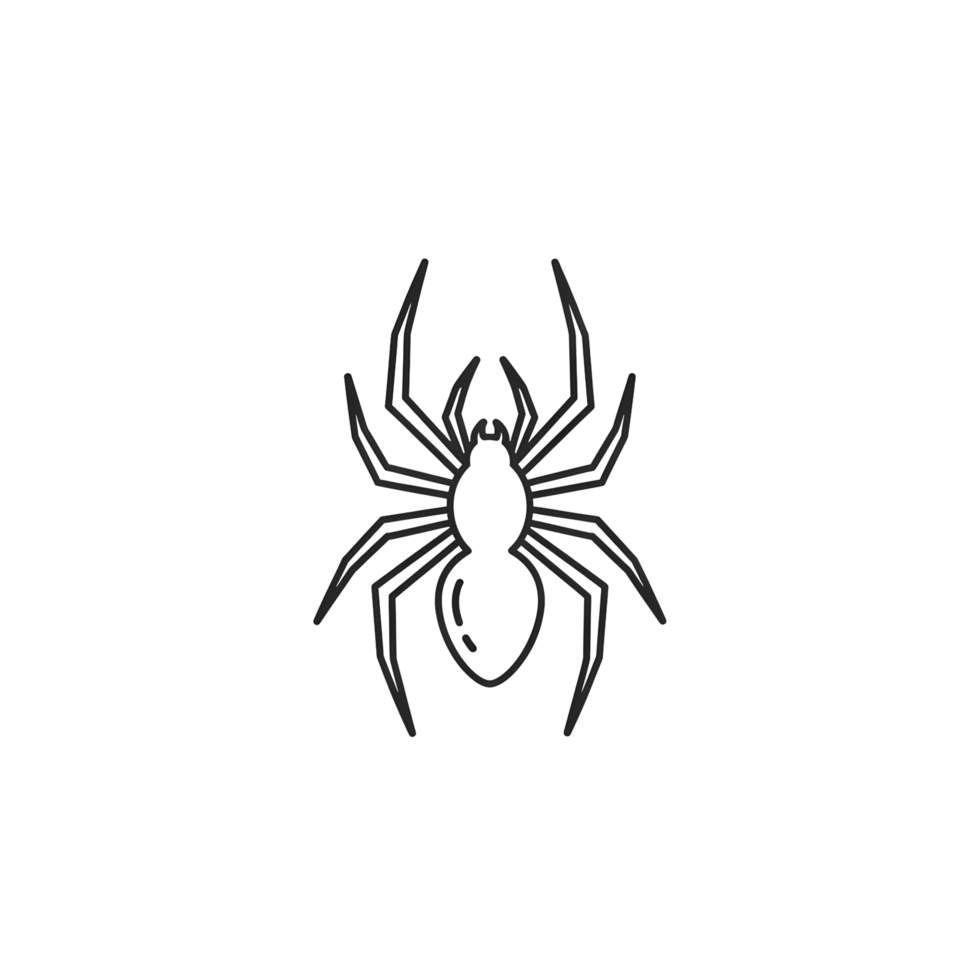 Spider graphic design illustration png