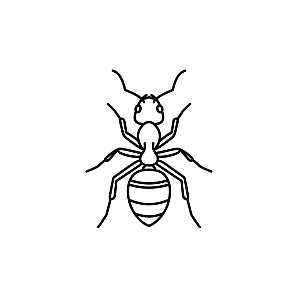 Ant illustration graphic design png
