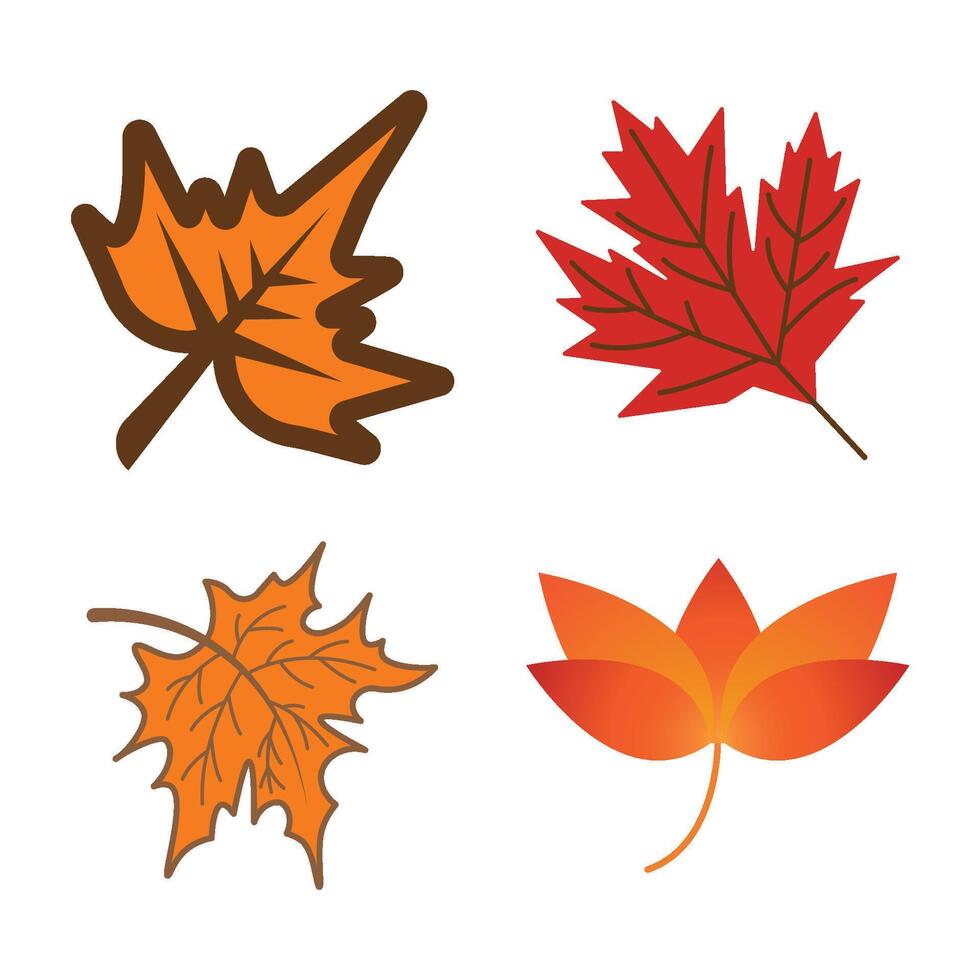 Autumn Maple symbol icon template vector