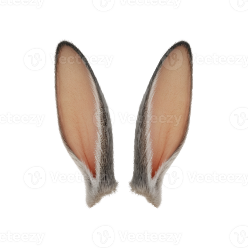 Realistic bunny ears image for Easter and costume design projects png