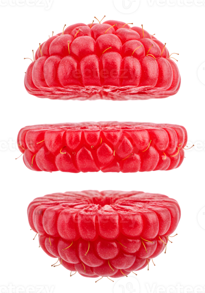 Deconstructed Raspberry Arrangement Showcasing Berry Structure on Transparent Backdrop png
