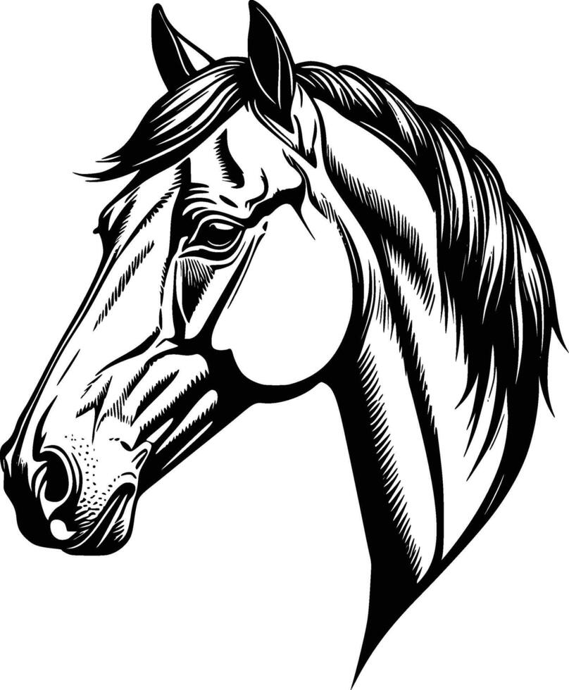 horse head with smooth edges Horse Sketch vector