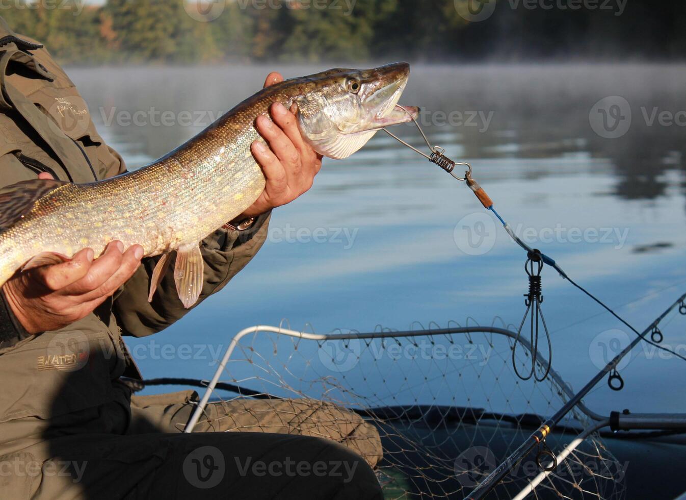 Fisherman holding pike and sitting in the boat on the lake photo