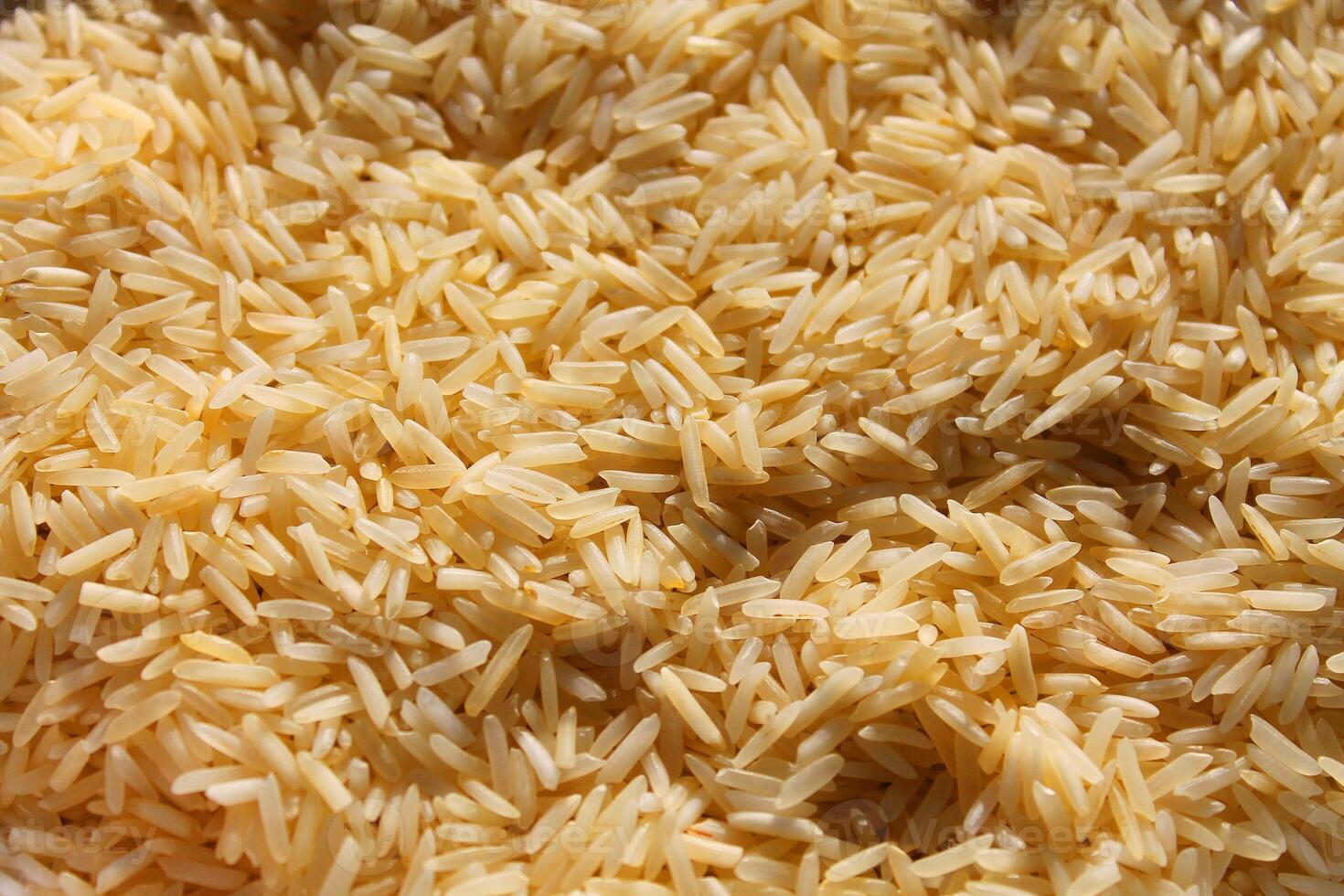 Close up of grains of jasmine rice photo