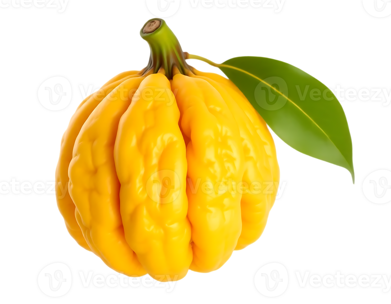 Garcinia Cambogia Fruit with Leaf Isolated png
