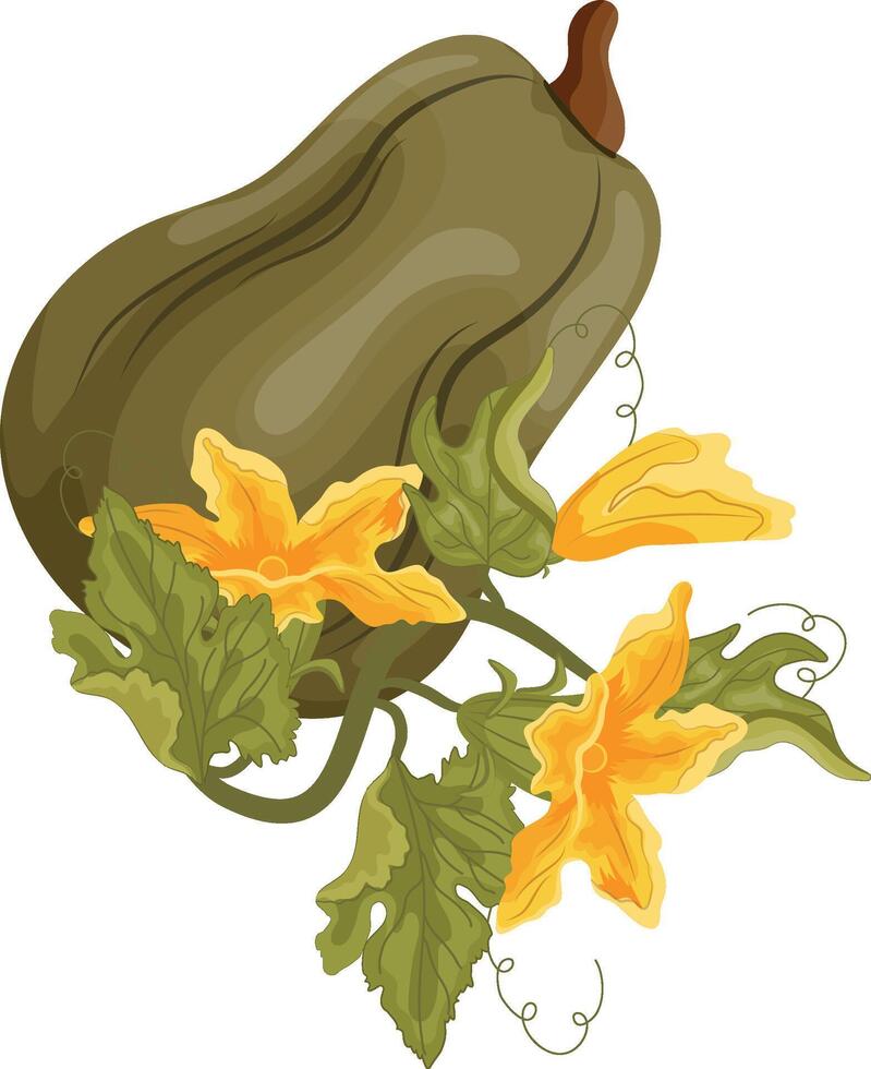 flat icon of a long green pumpkin and green tops with yellow flowers and green leaves next to it, for autumn print, textile or packaging vector