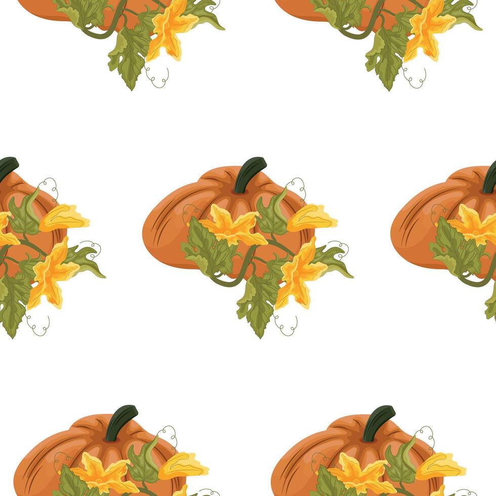 Pattern with round orange pumpkin and green tops with yellow flowers and green leaves next to it, for autumn print, textile or packaging vector