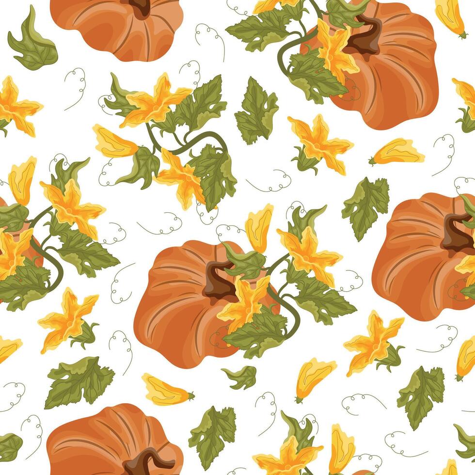 Seamless pattern with round curved orange pumpkin and green tops with yellow flowers and green leaves arranged randomly next to each other, for autumn print, textile or packaging vector