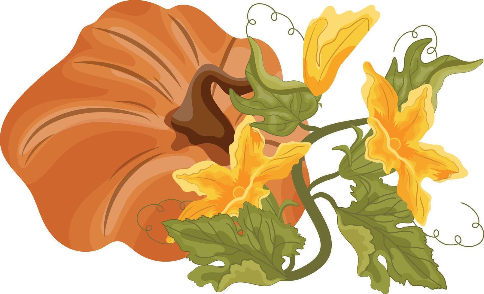 flat icon of round curved orange pumpkin and green tops with yellow flowers and green leaves next to it, for autumn print, textile or packaging vector