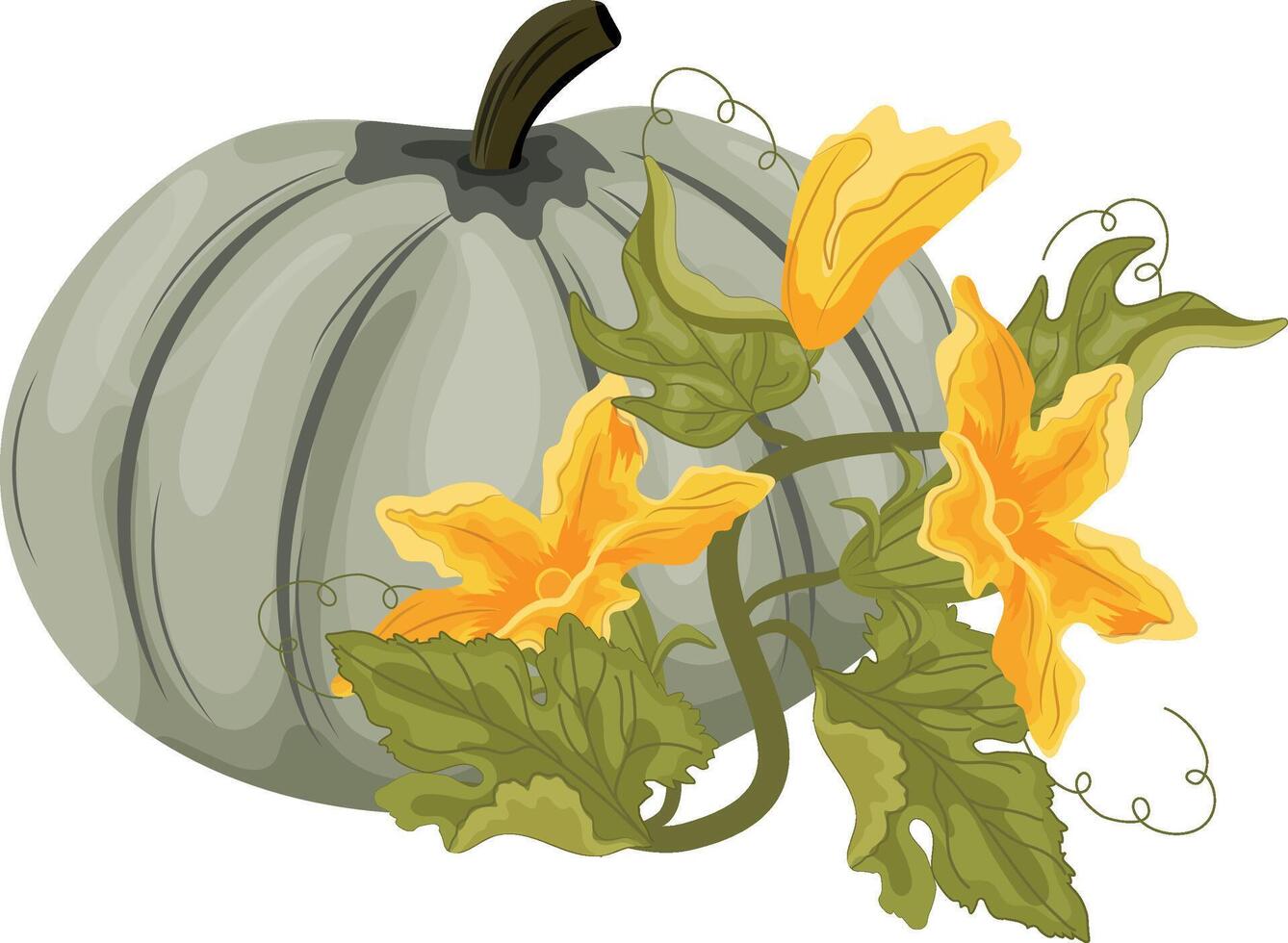 Flat icon of round green pumpkin and green tops with yellow flowers and green leaves next to it, for autumn print, textile or packaging vector