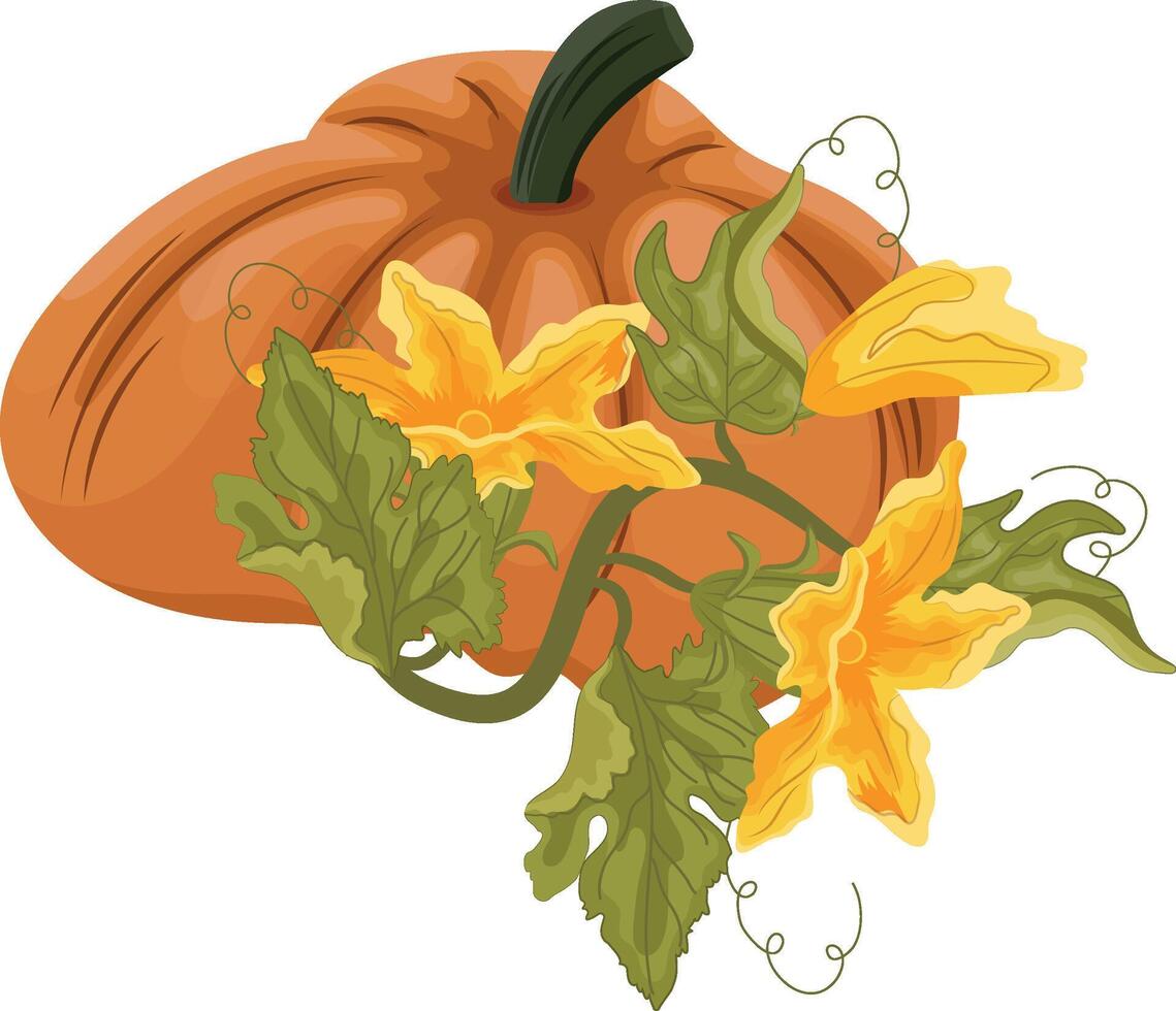 Flat icon of round orange pumpkin and green tops with yellow flowers and green leaves next to it, for autumn print, textile or packaging vector