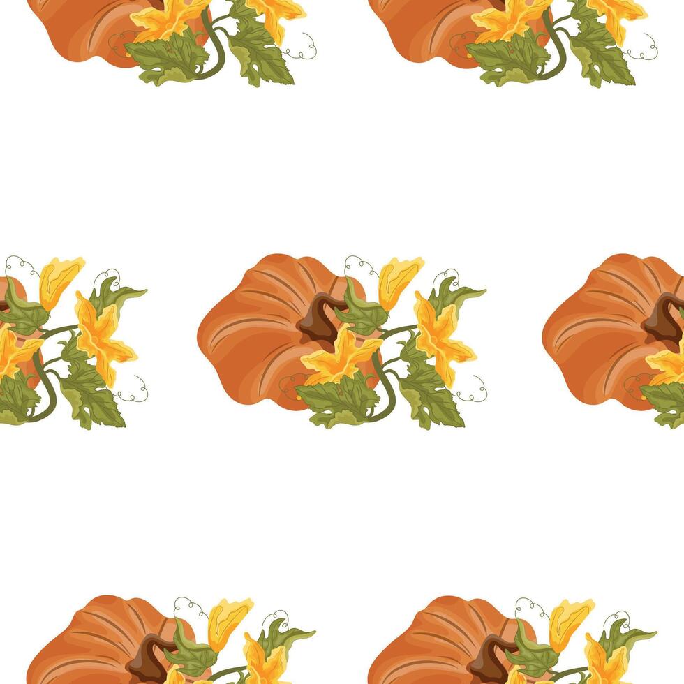 Pattern with round curved orange pumpkin and green tops with yellow flowers and green leaves next to it, for autumn print, textile or packaging vector