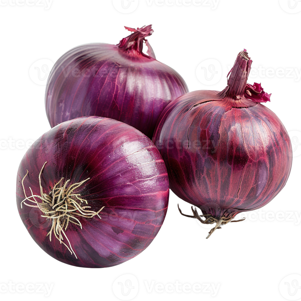 Vibrant Red Onions with Dry Roots and Shiny Skin on Transparent Background png