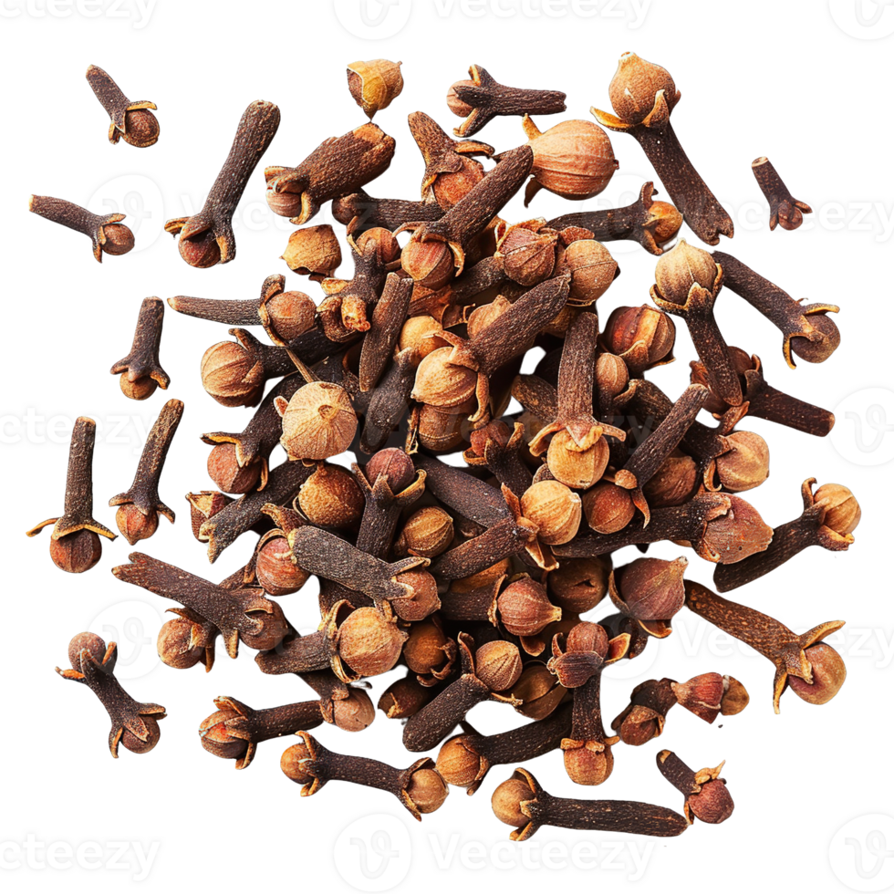 Whole Dried Clove Spices on a Transparent Background png
