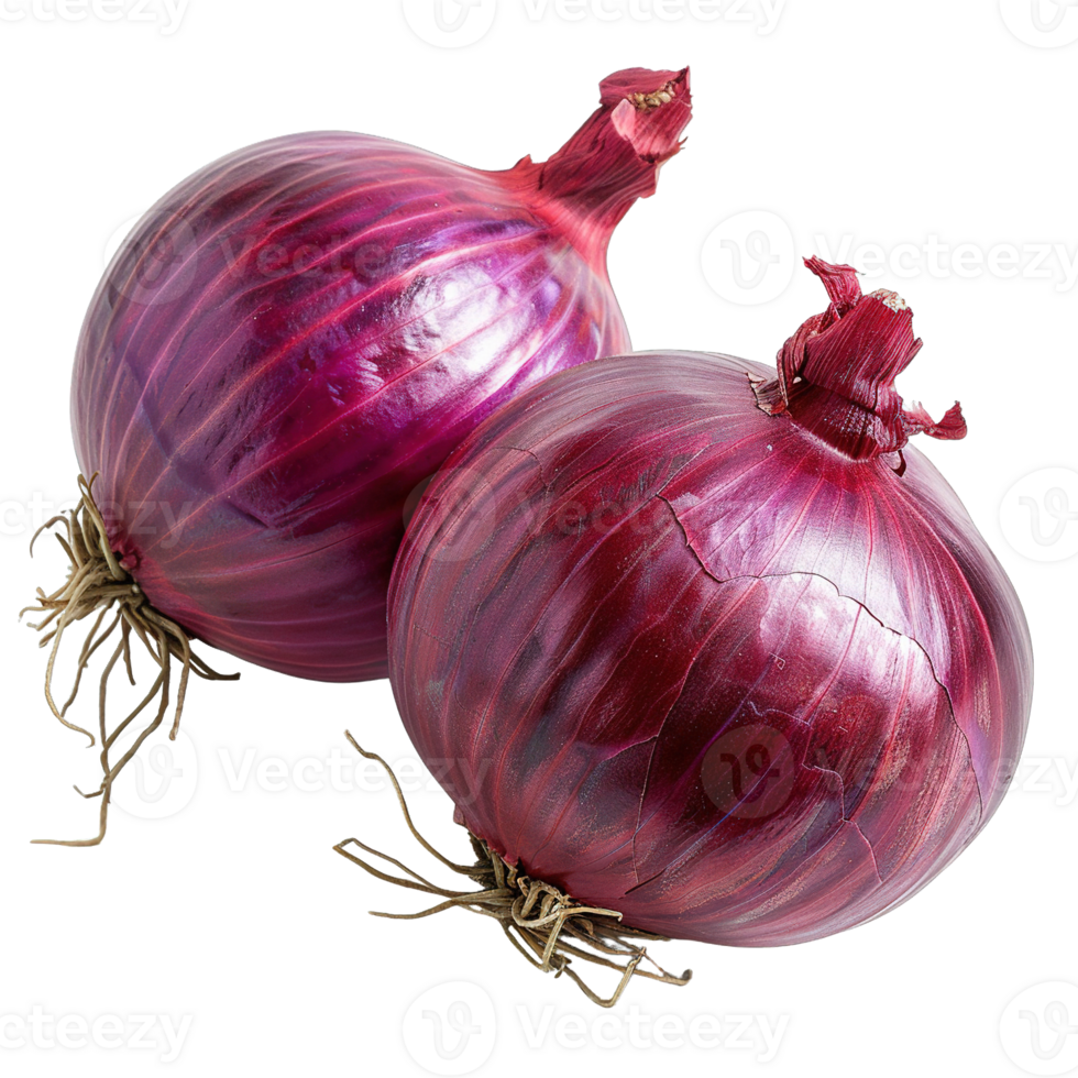 Fresh Red Onions in High Detail Showing Natural Imperfections and Glossy Purple Skin on Transparent Background png