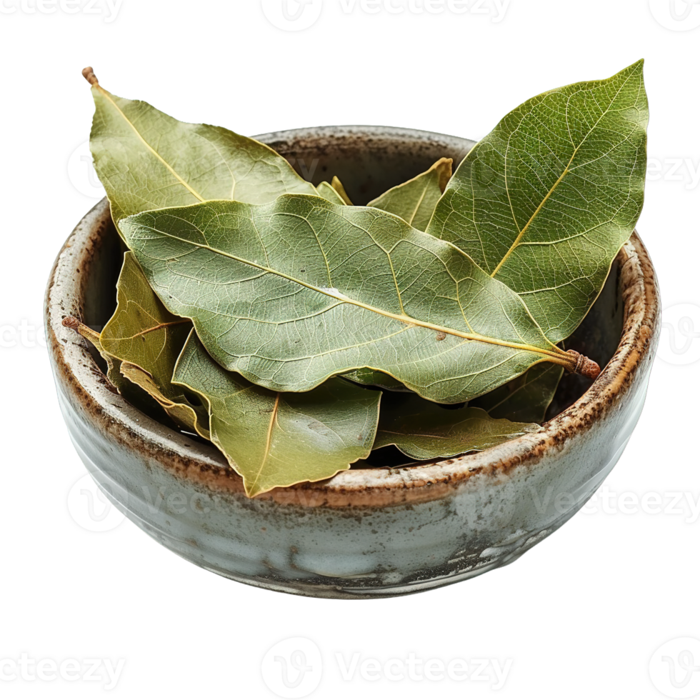 Dried Bay Leaves in Artisan Pottery Bowl on Transparent Background png