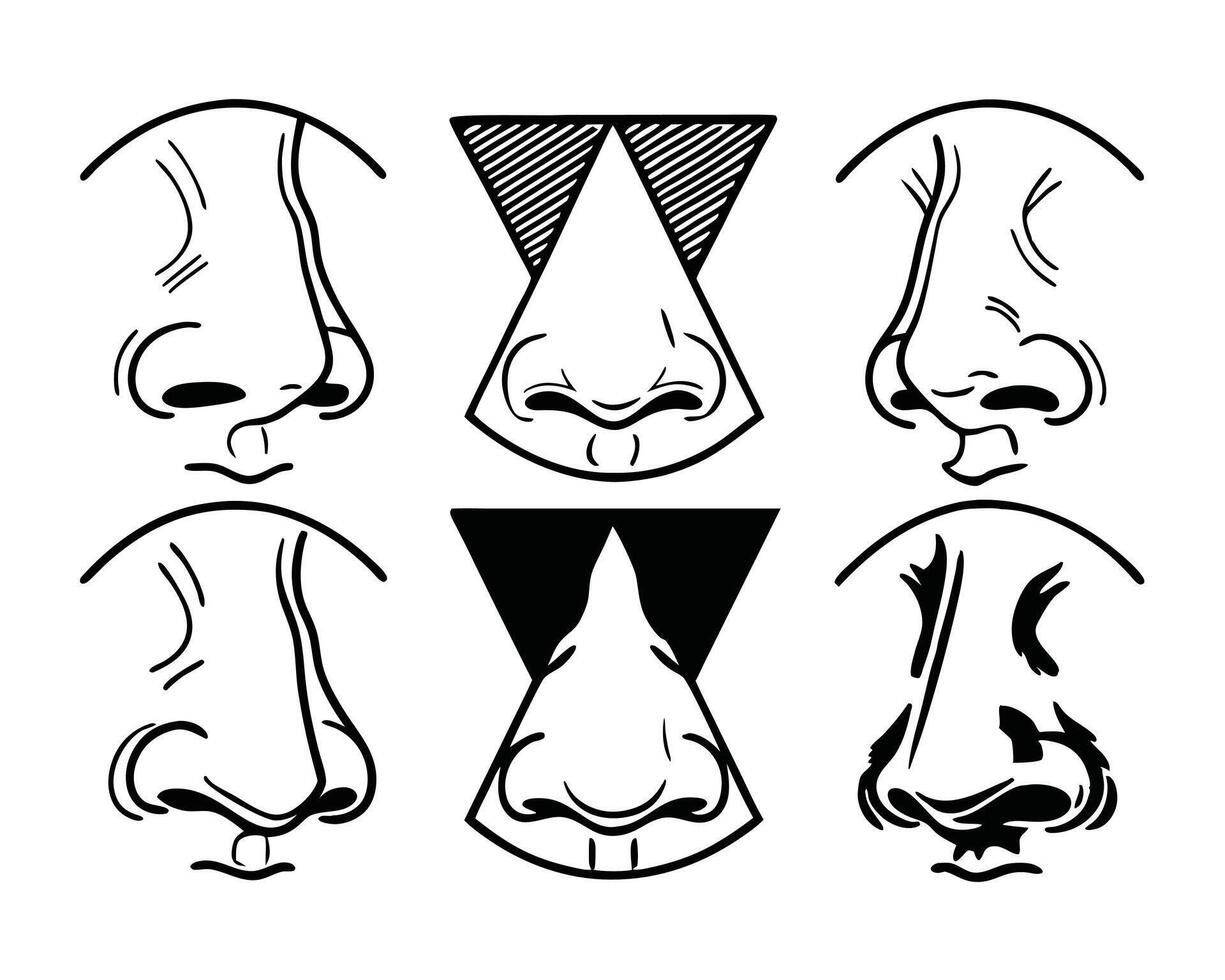 illustration of various noses in black and white showing different styles and shapes. vector