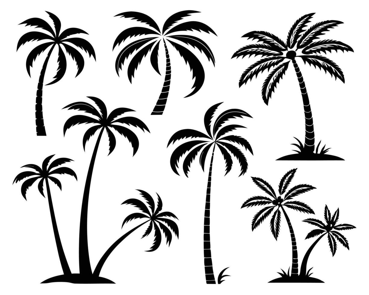 Collection of black palm tree silhouettes against a white background illustrating tropical designs and nature concepts vector