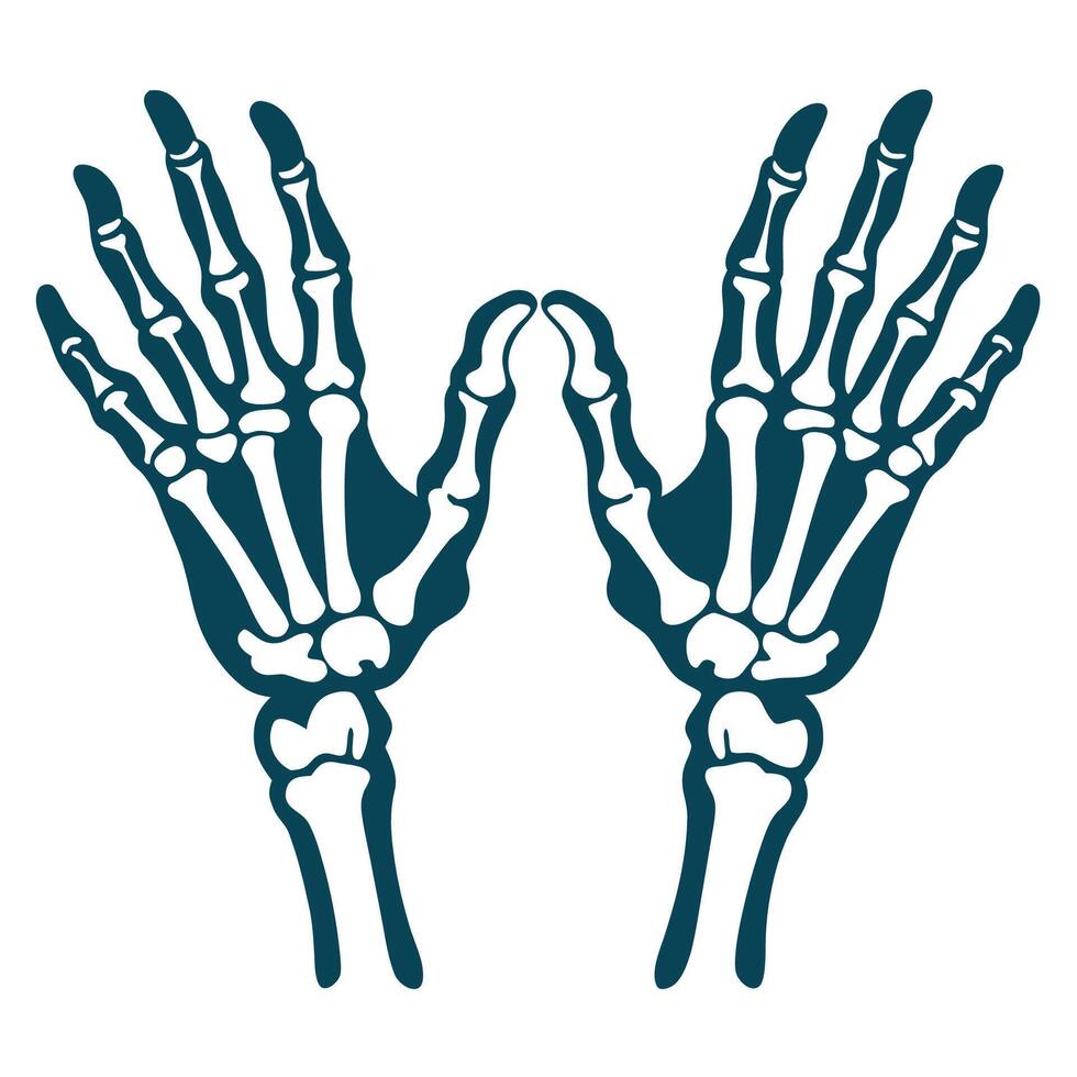 Two hands with bones on them vector