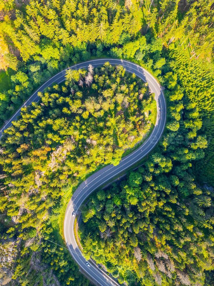 A winding asphalt road snakes through a vibrant green forest valley, surrounded by tall trees and natural beauty, inviting exploration and adventure in a serene setting. photo