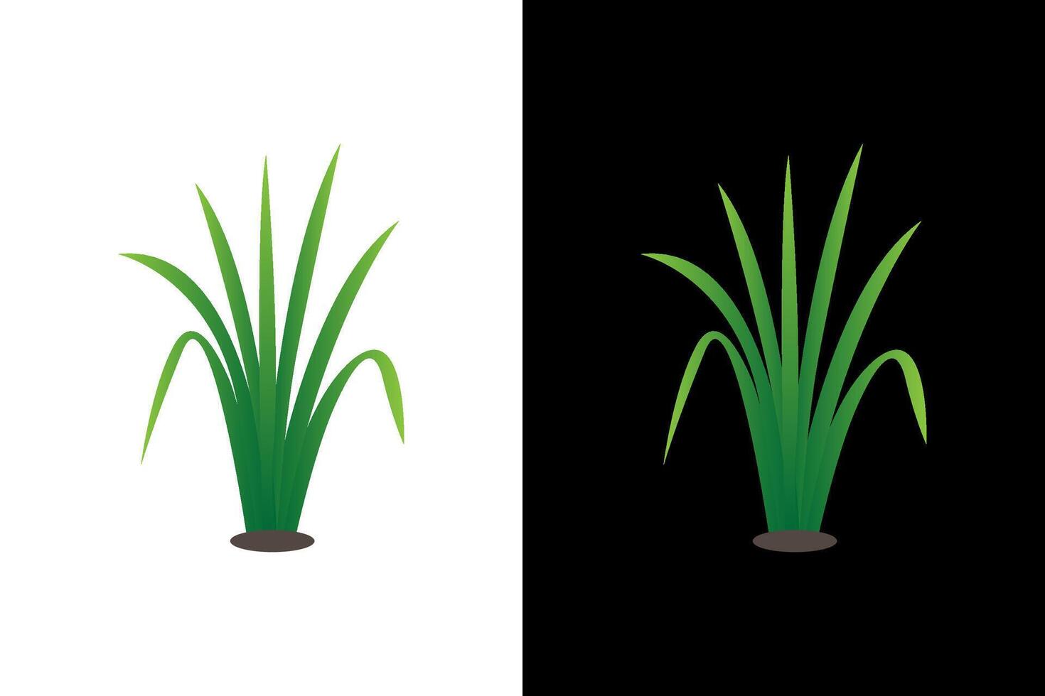 Vibrant Green Plant on Contrasting Backgrounds vector