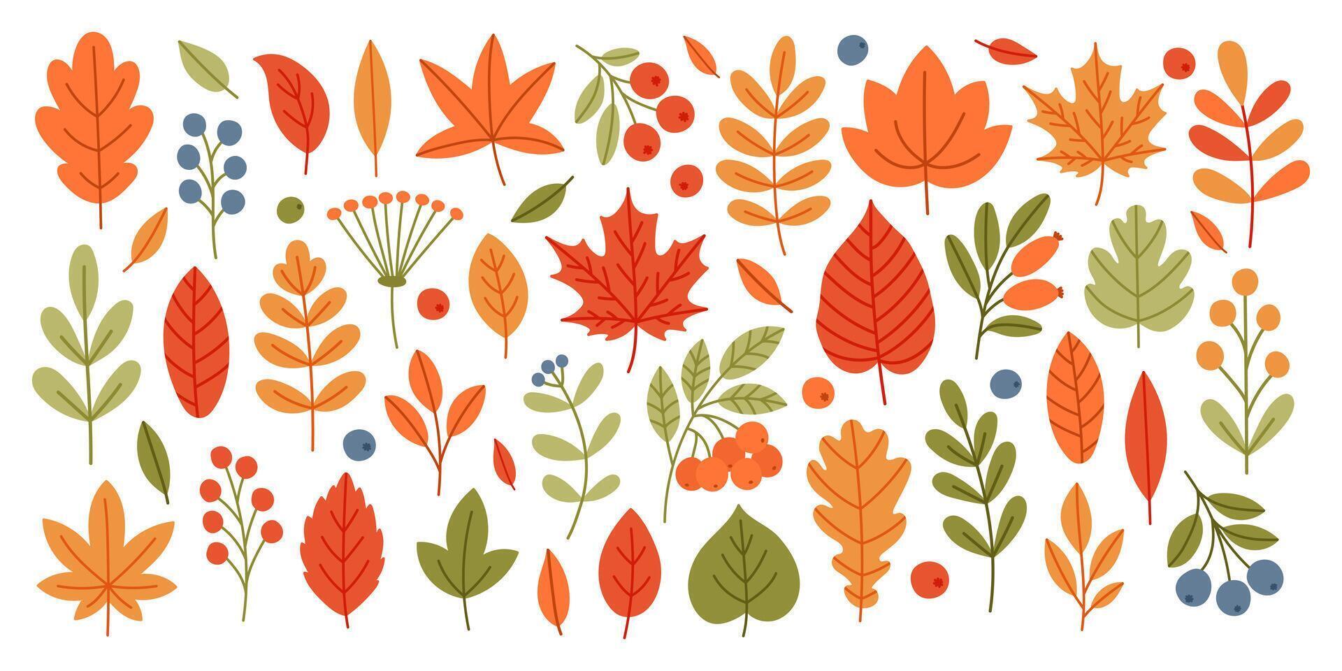 Colorful autumn leaves and plants vector