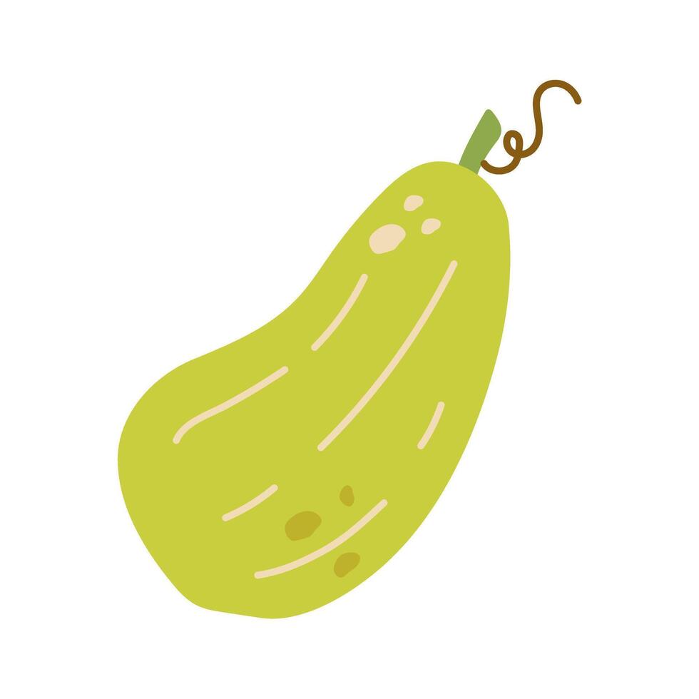 Pumpkin isolated .Autumn vegetable for Halloween Thanksgiving Harves festival. Simple modern doodle icon. Cooking organic healthy ingredient. . Design element vector