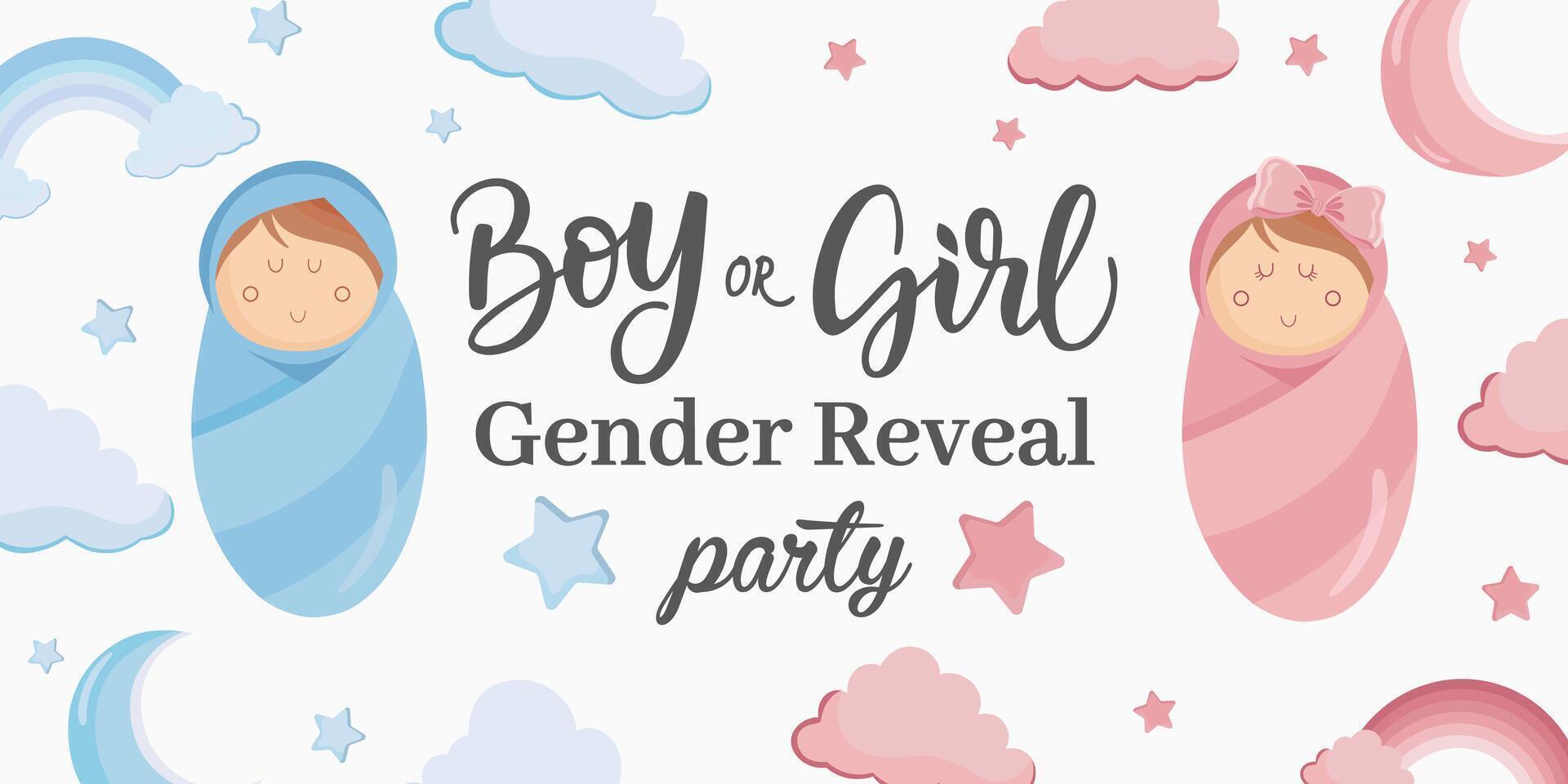 Boy or girl banner Gender reveal party Pink blue baby cute decorations vector