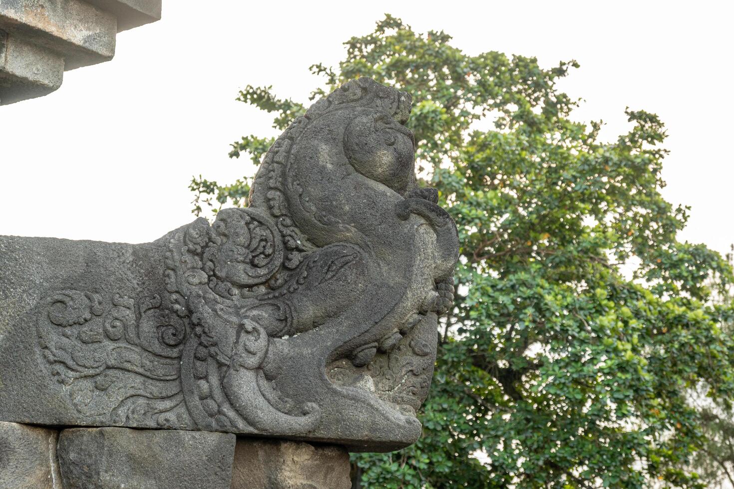 A detailed stone carving of a mythical creature at Borobudur, with trees in the background. photo