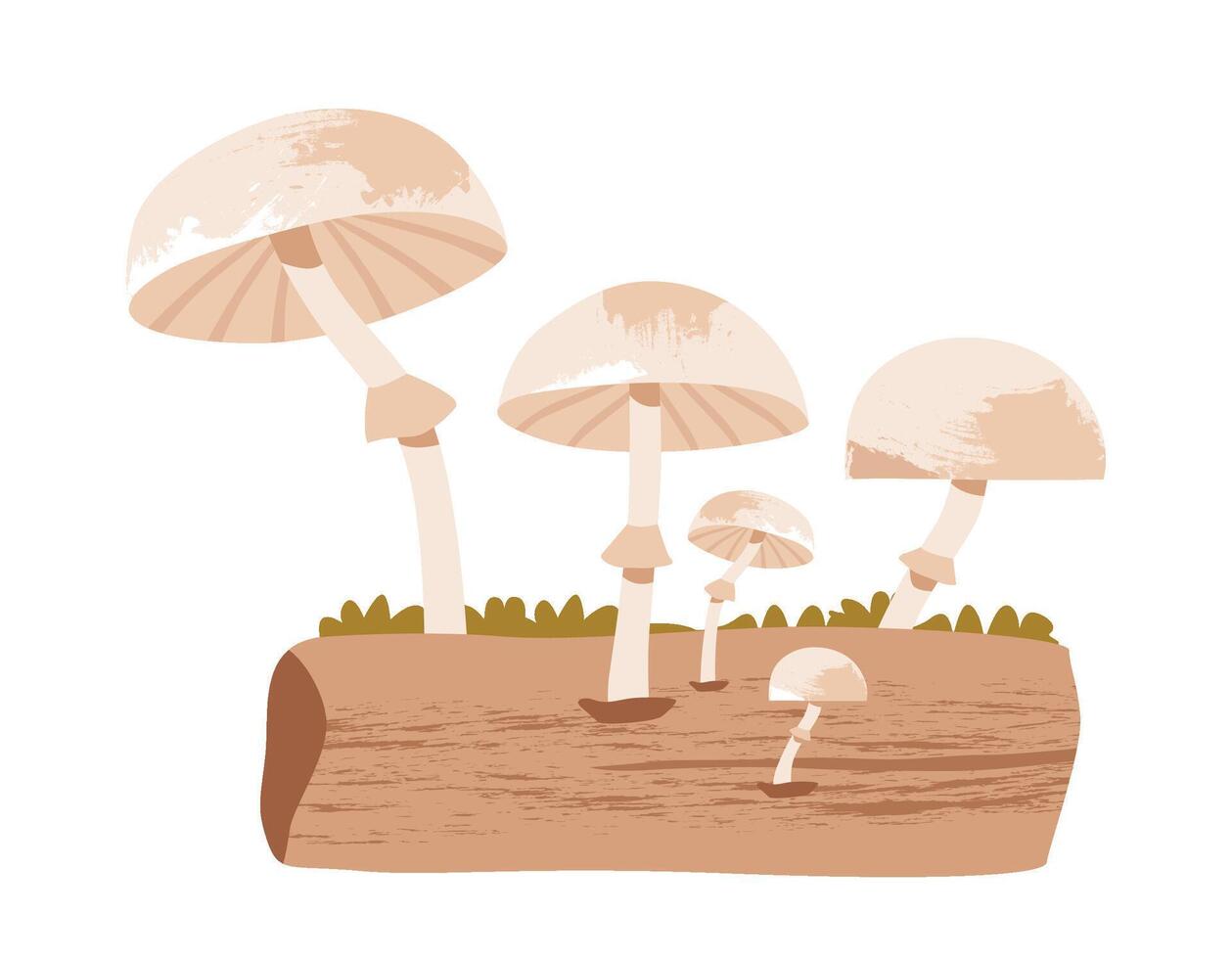 Mushrooms on a wooden log vector