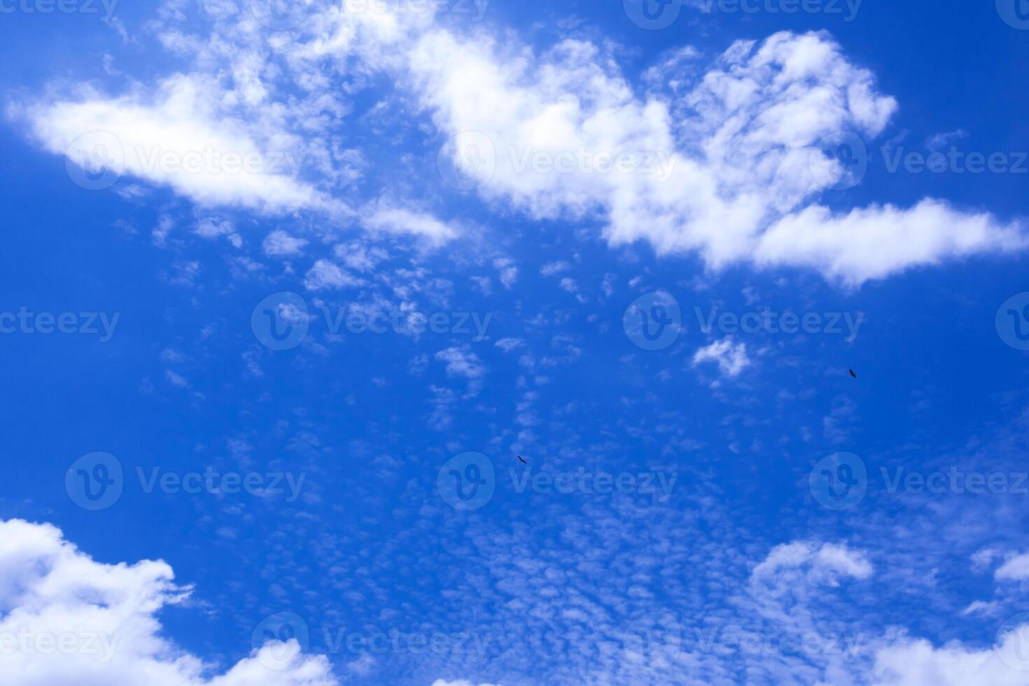The Fluffy clouds in the bright blue sky photo