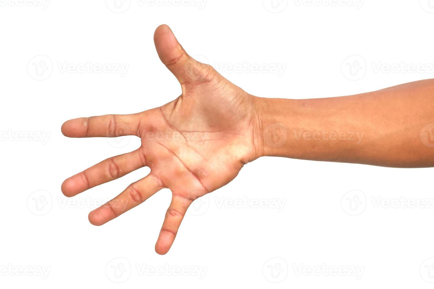 Human Hand Reaching Out Isolated on White Background - Open Palm and Fingers Extended photo