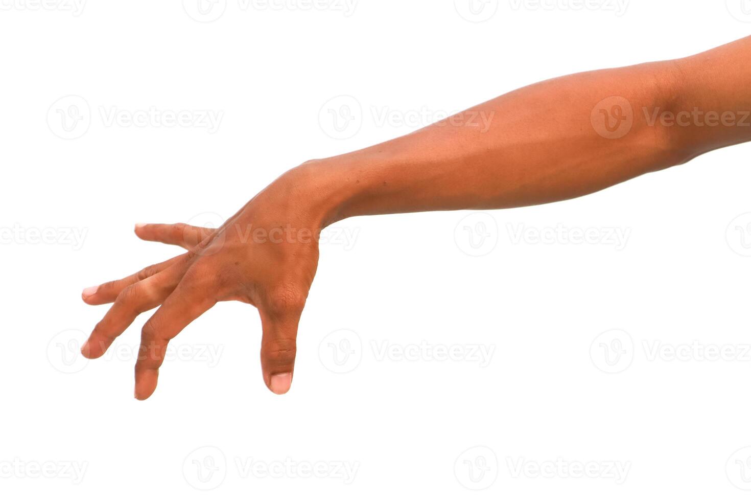 Dark Skinned Hand and Arm Isolated on White Background in Studio Shot photo
