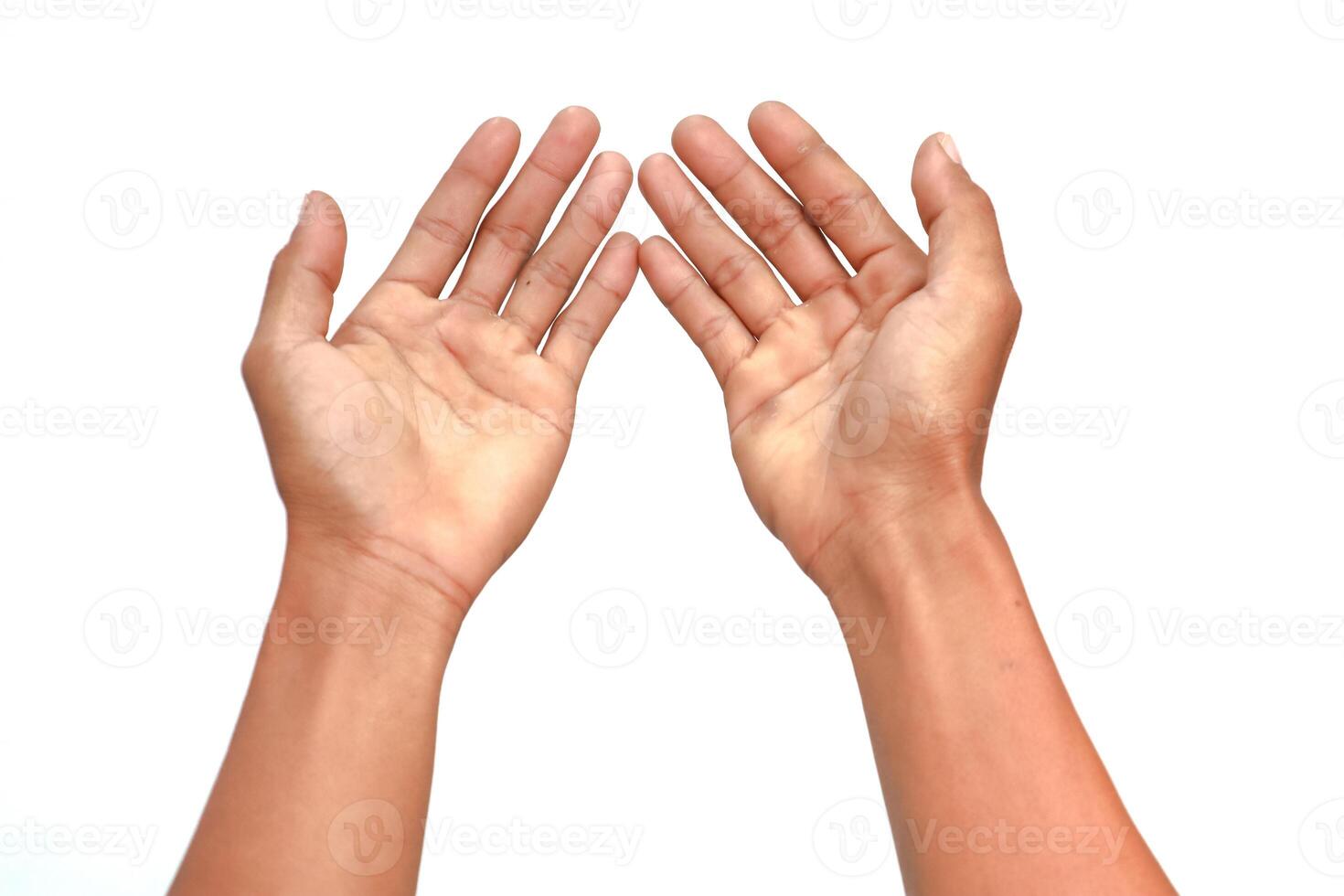 Two Open Hands Isolated on a White Background in a Simple Pose photo