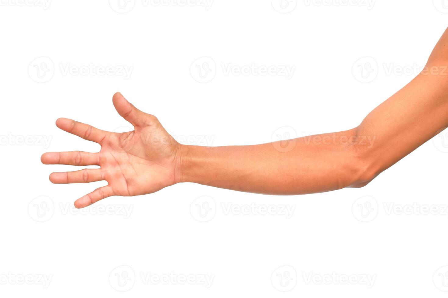 Human arm outstretched with hand open against a clean white background for anatomy photo