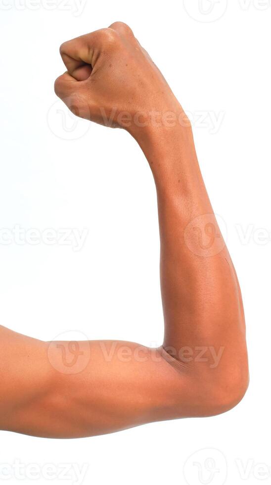 Close-up of a muscular arm flexing against a pristine white background, showcasing fitness photo