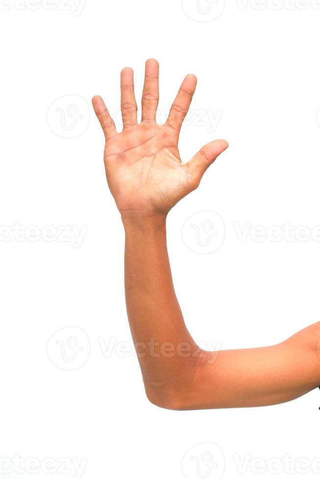 A close-up studio shot of a human arm and hand isolated on a clean white background photo