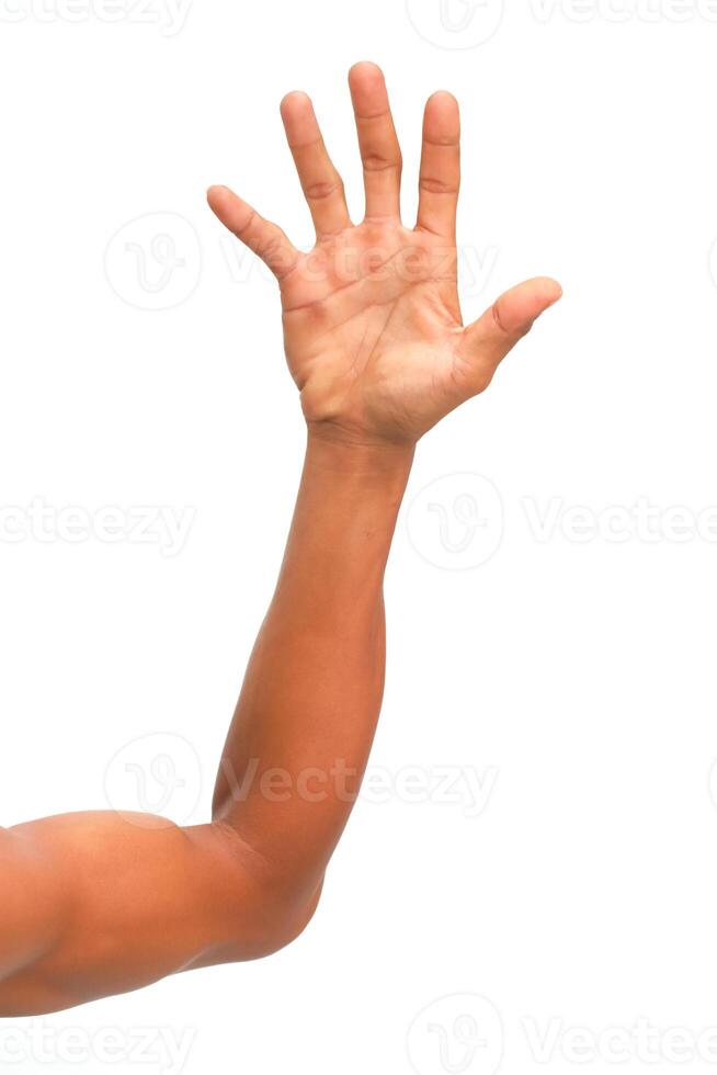 A Clear Studio Shot of an Arm and Hand Reaching Out Against a White Background photo