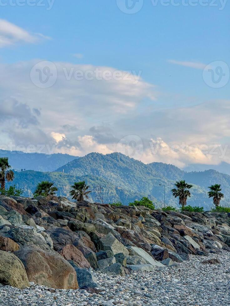 Rocky Shoreline with Palm Trees and Mountain Backdrop under Partly Cloudy Sky photo