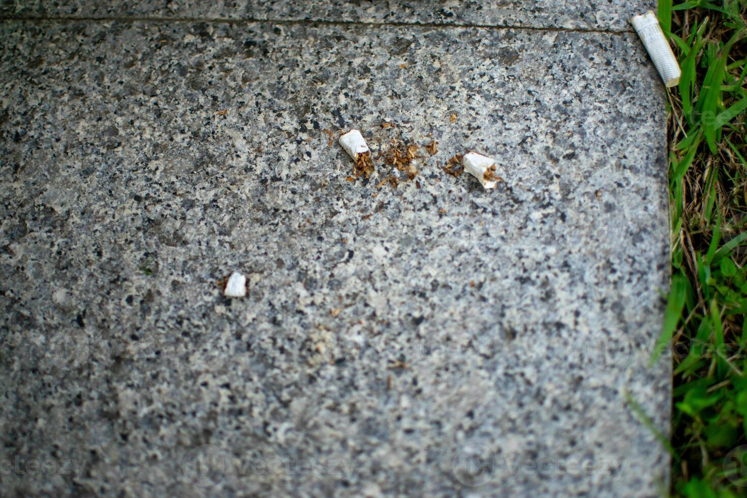 Discarded Cigarette Butts on Pavement Near Grass Edge photo