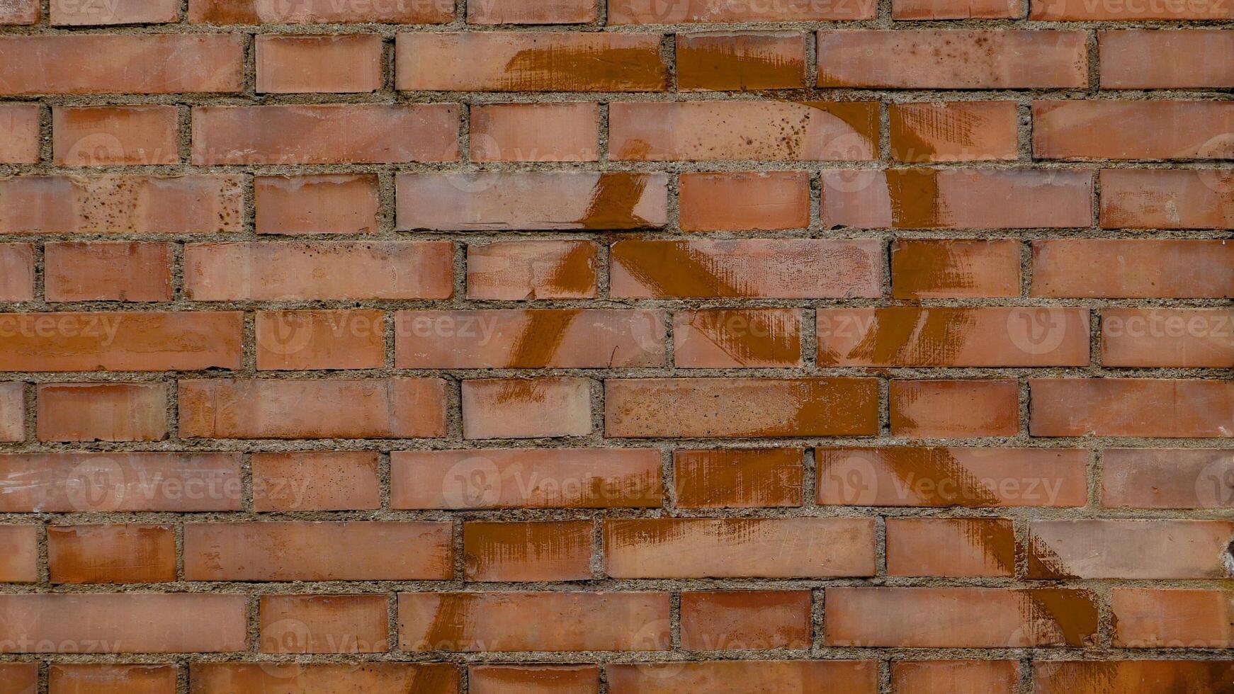 hammer and sickle symbol on a wall photo