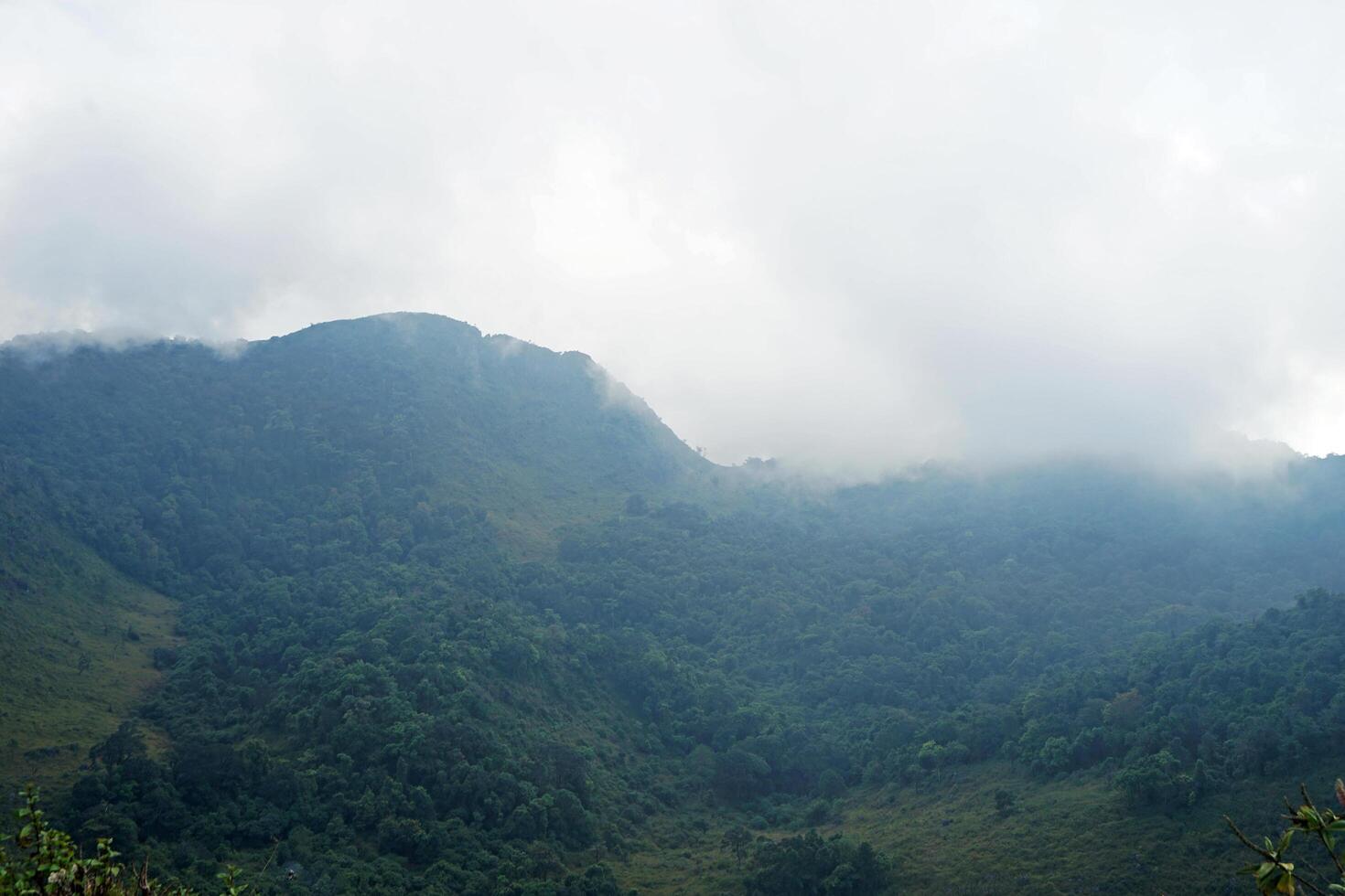 Nature landscape window of green mountain summit range with cloudy white sky photo