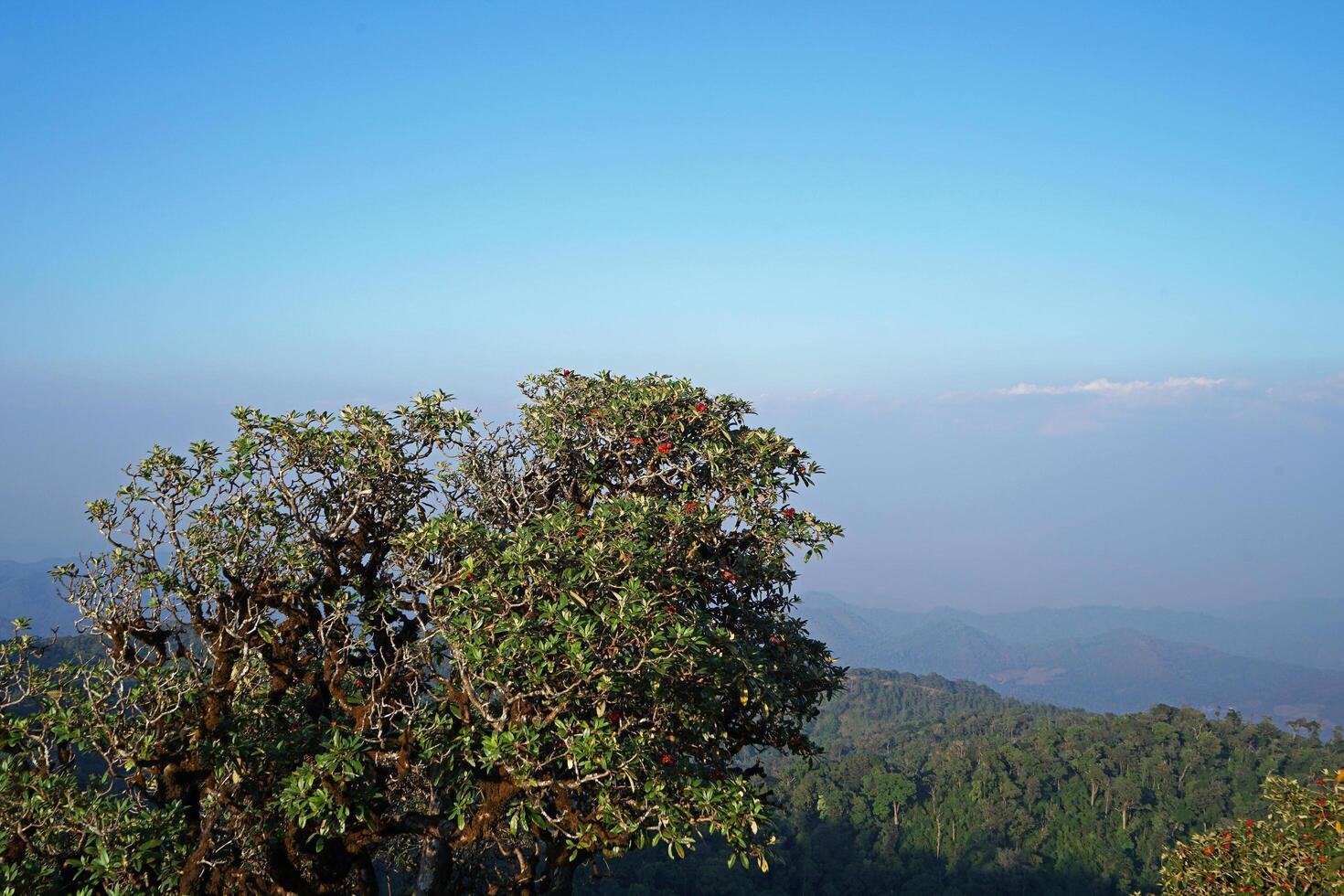 Landscape of natural green hill summit range with cloudy white sky photo