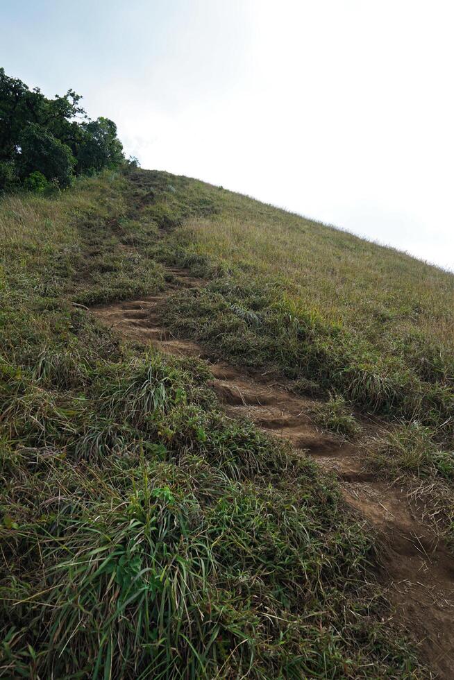 Natural peak landscape of mountain hill, trail pathway with green grass steps and cloudy sky photo