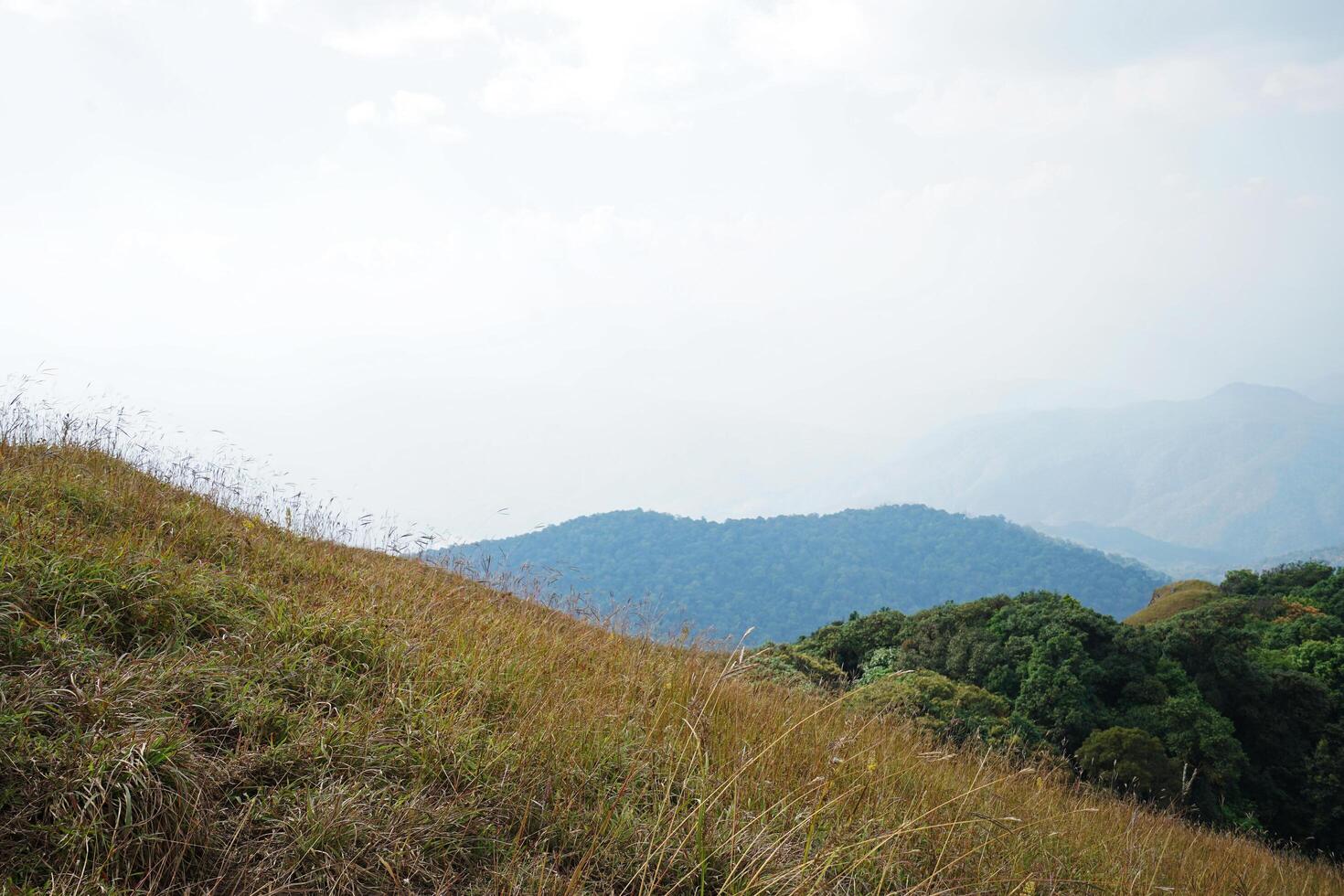 Rainforest summit range and hill ridge with cloudy blue sky photo